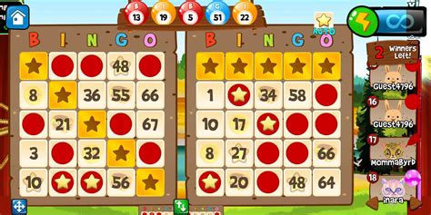 bingo abradoodle|abradoodle bingo tips.
